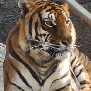 Meet your Posher, Erick